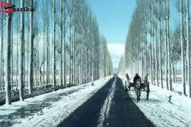 Luxury Tours